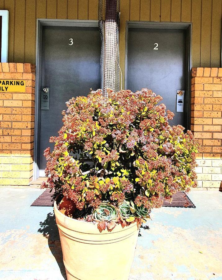 Goldrush Motel Young Cbd Exterior foto